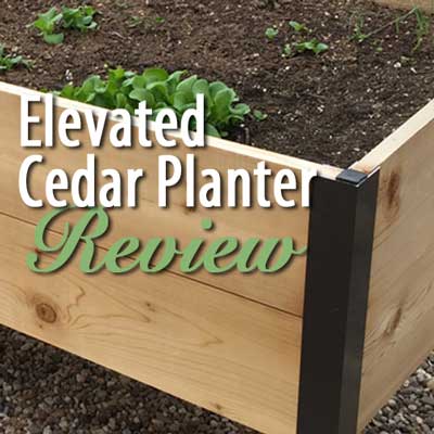 Elevated Cedar Planter