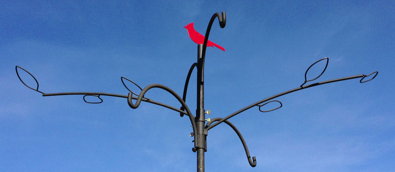 bird feeder pole systems