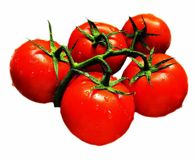 7-terrific-tomato-tips-1