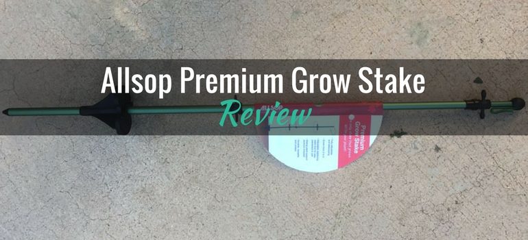 Allsop-Premium-Grow-Stake-featured-image