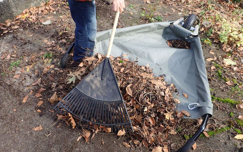 Allsop WheelEasy raking leaves into cart