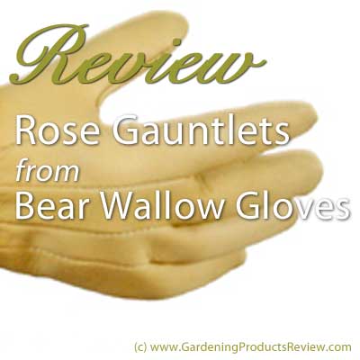 Review of Bear Wallow rose gauntlet gloves