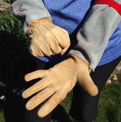 comfortable Bear Wallow rose gauntlet gloves