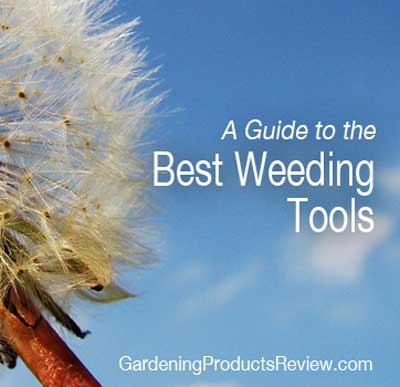 Best Weeding Tools