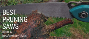 Best pruning saws guide featured image