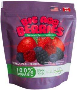Big Ass Berries Organic Nutrients for Indoor and Outdoor Berries