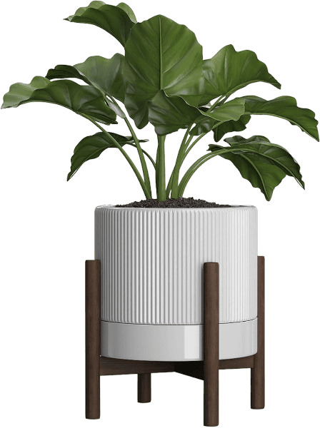 Carrward Ceramic Planter Pot with Drainage Hole, Saucer, and Stand
