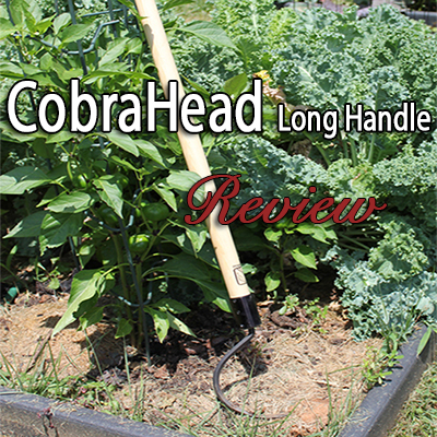 CobraHead Long Handle Weeder