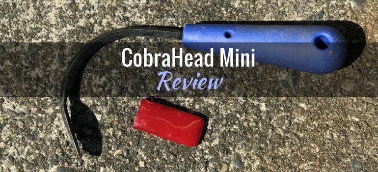 Cobrahead-mini-featured-image