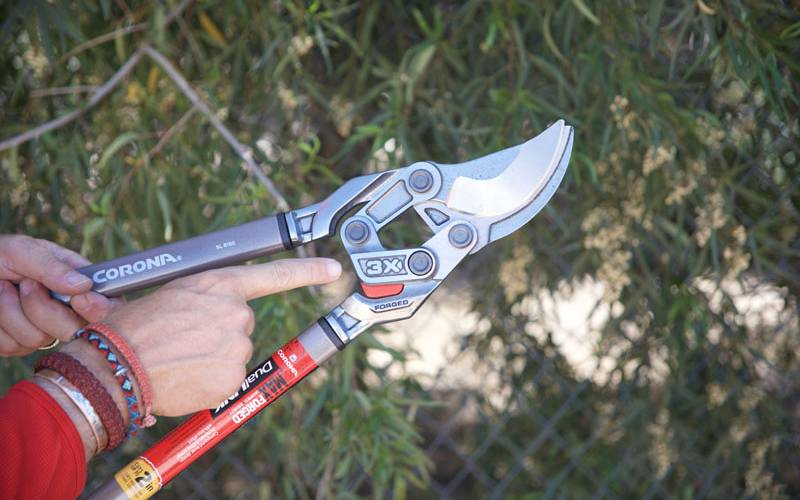thumbnail interactive-video image 1 of Corona High-Performance Orchard Bypass Lopper - 26 Inch (AL 8442 1 of 12