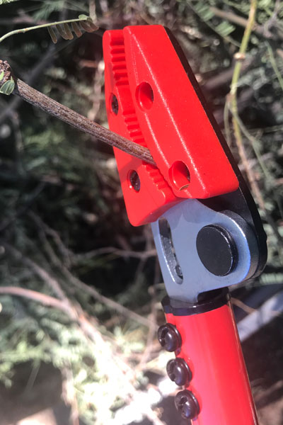 Corona Long Reach Pruner cut on the correct side of branch