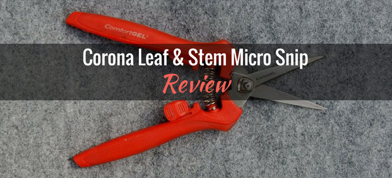 Corona-leaf-&-stem-micro-snips-featured-image