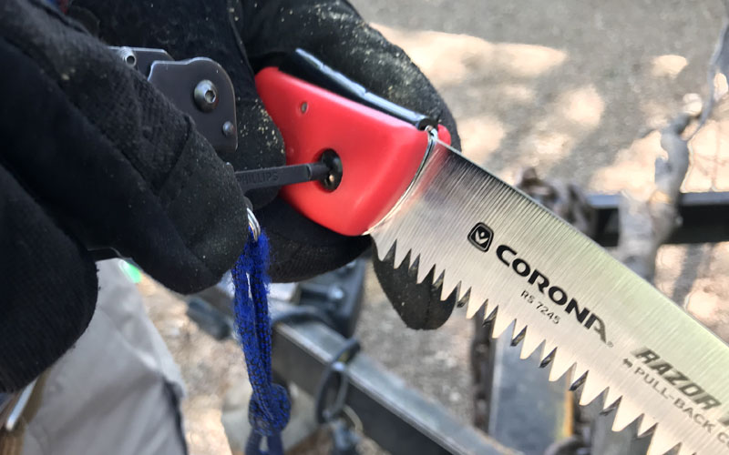 Corona Razortooth screw adjustment