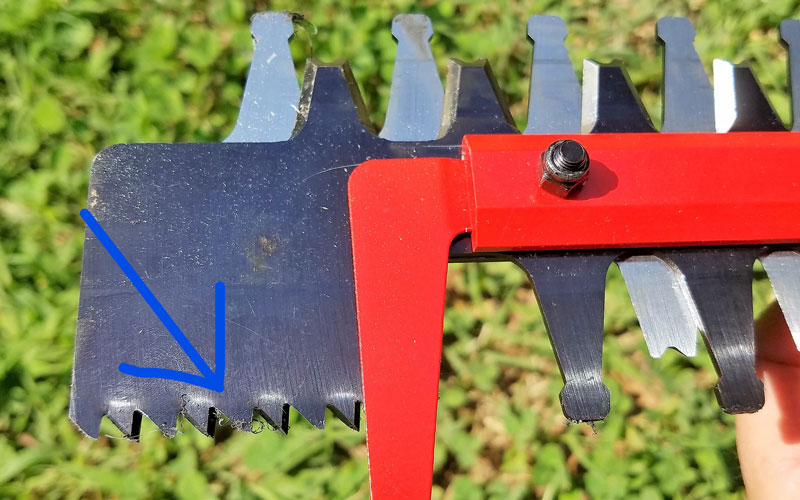 Craftsman 60V Hedge Trimmer saw at end of blade