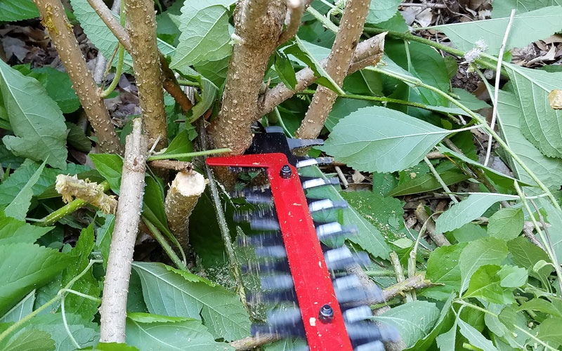 Craftsman 60V Hedge Trimmer using saw 