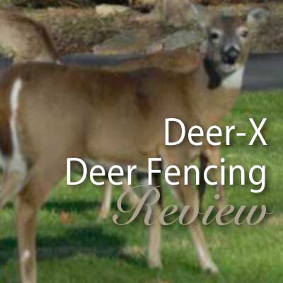 Dalen-Deer-Fencing-featured