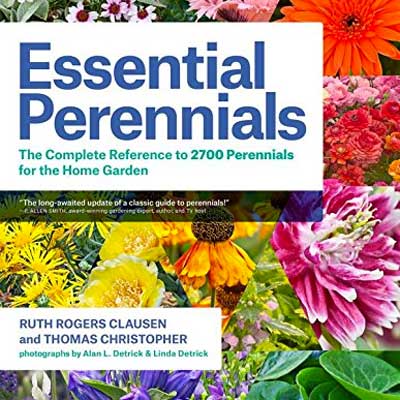 Book review of Essential Perennials