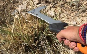 Cutting through grasses with the Billhook