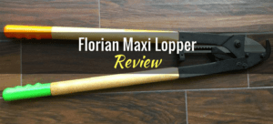 florian-maxi-loppers-opening-pic