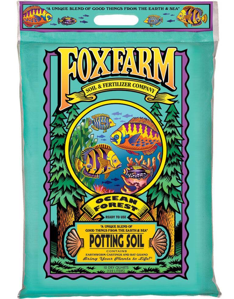 6 Best Soils for Roses to Help Your Buds and Petals Thrive - Gardening Products Review