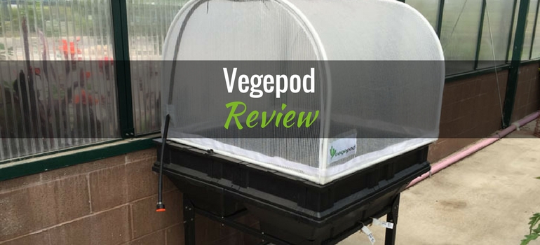Vegepod featured image