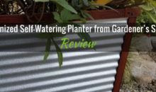 Galvanized Self-Watering Planter from Gardener’s Supply: Product Review