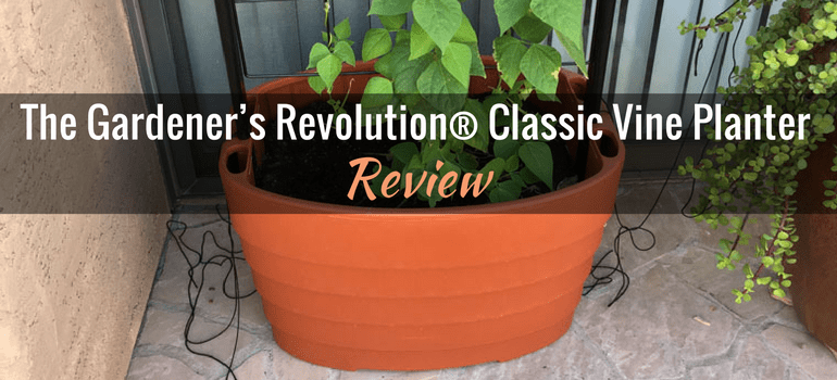 Gardeners Revolution classic vine planter featured image