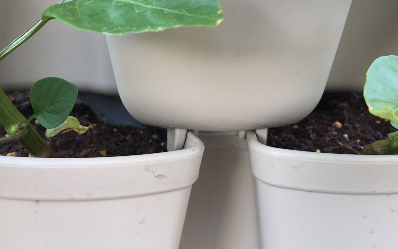Stackable trays for the GreenStalk planter