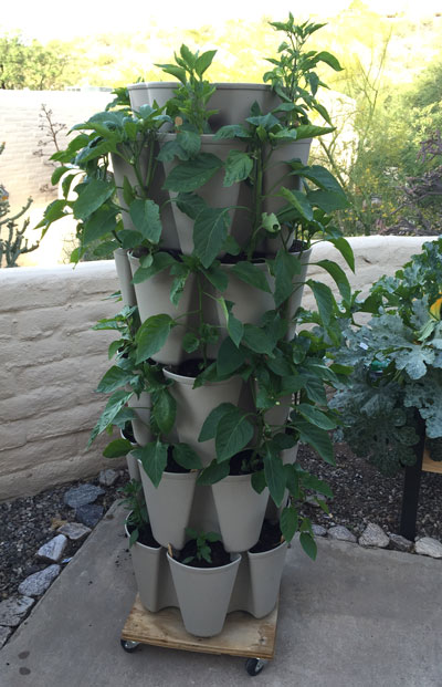 GreenStalk planter with peppers