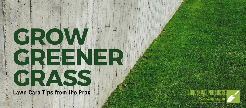 grow greener grass lawn tips
