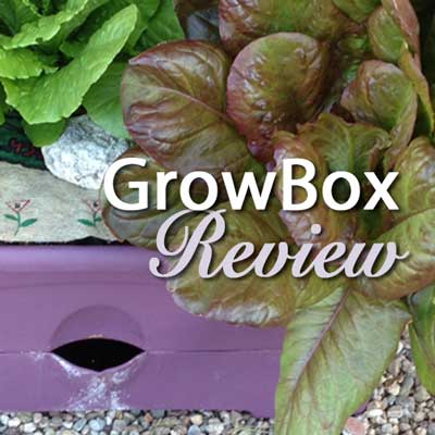 GrowBox review