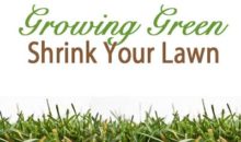 Growing Green – Shrink Your Lawn