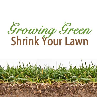 shrink your lawn