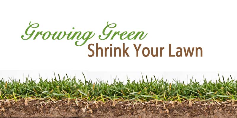 How to shrink your lawn