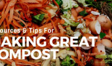 Composting: Resources and Tips for Making Great Compost