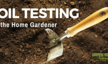 Soil Testing for the Home Gardener