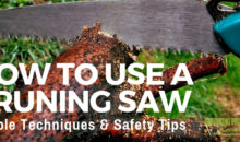How to Use a Pruning Saw: Technique & Safety Tips