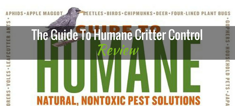 Humane-Critter-Control-featured