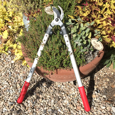 Holiday Gift Guide for Gardeners - 2015 - Gardening Products Review