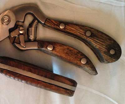Rough wood handles on Joseph Bentley secateurs