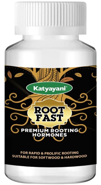 Katyayani Root Fast