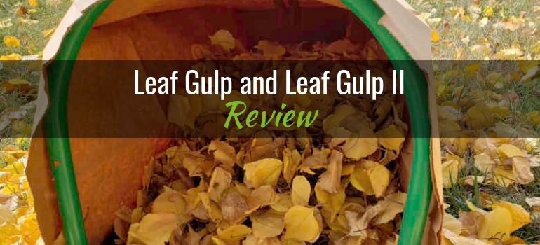 Leaf Gulp and Leaf Gulp II Featured Image