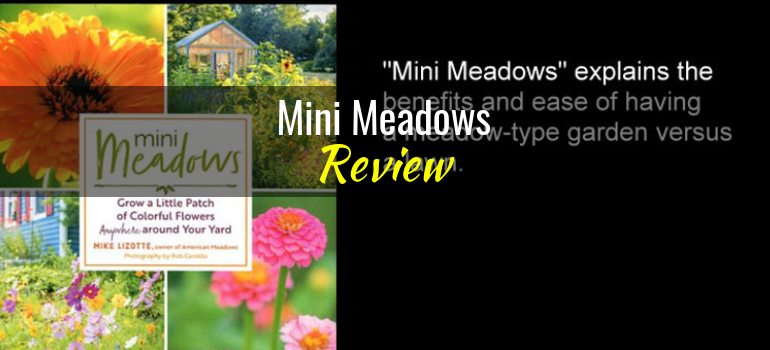 Mini-Meadows-featured-image