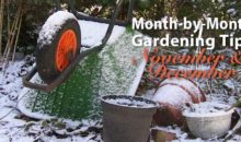 Gardening Tips for November & December