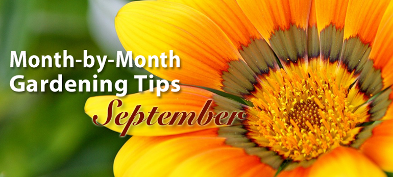 September Gardening Tips