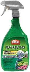 Ortho Grass B Gon Garden Grass Killer Ready-to-Use Spray