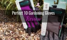 Perfect 10 Gloves with Nailguard Technology: Product Review