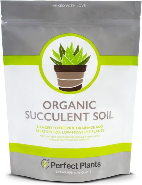 Perfect Plants All Natural Succulent and Cactus Soil Mix