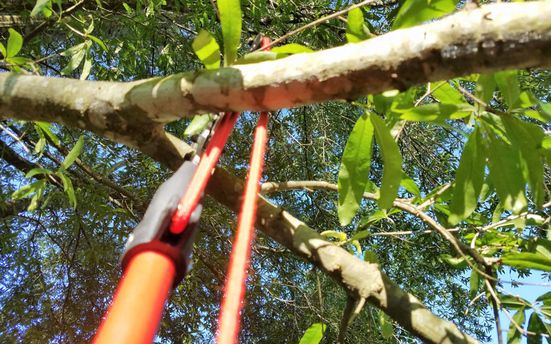 Corona extendable pruner not enough room to cut