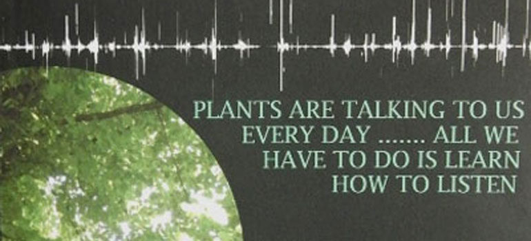 cover of The Plant Listener